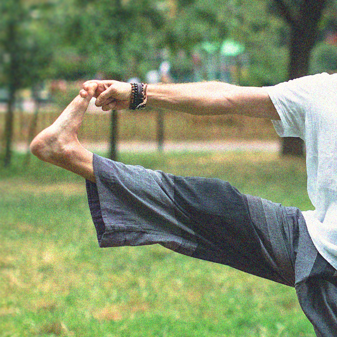 Hatha Yoga Vitalis
